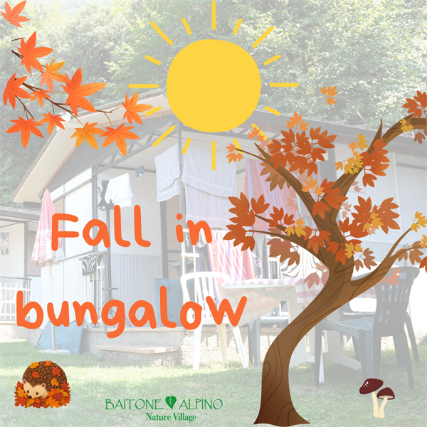Fall in autumn